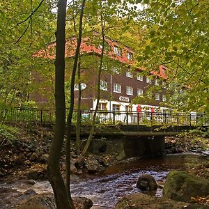 Waldhotel am Ilsestein